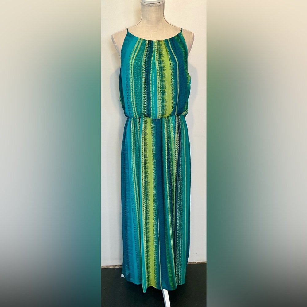 Tacera Maxi Dress Petite Multicolor - EUC